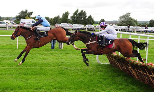 Knightsone leads Dayrina over the last, before the latter gets on top in the closing stages