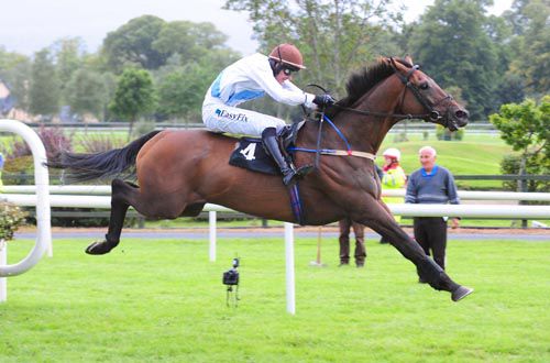 Flatfoot Boogie clears the last under Andrew McNamara