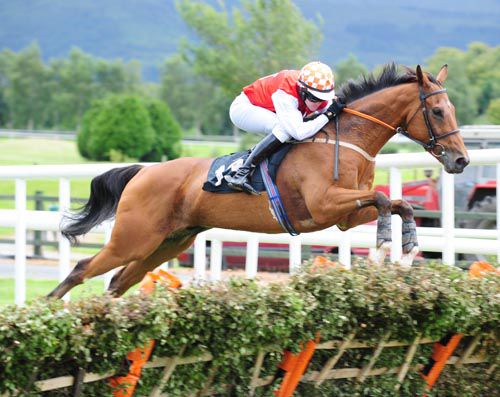 Another Rebel and Martin Ferris in full flight