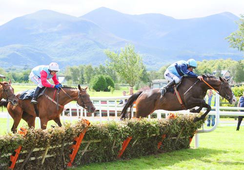 The Boat People jumps the last under Phillip Enright from Mister Hotelier in second