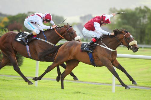 Opera Gloves is driven out by Shane Foley to beat St Jean and Indian Chief (not pictured)