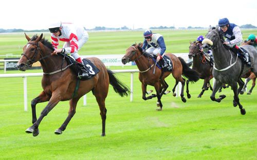 Job done - Levanto and Johnny Murtagh at the Curragh