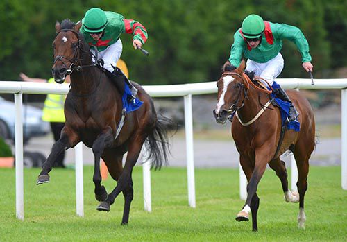 Murphy's Delight (left) is driven out by Wayne Lordan to beat Ebinya