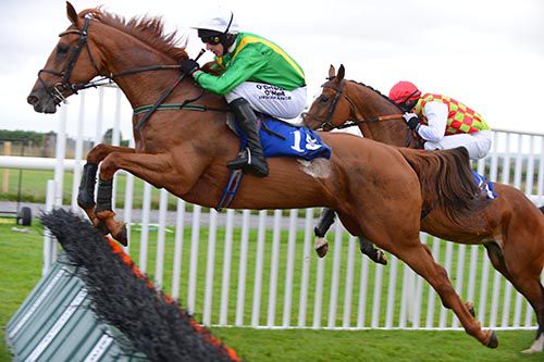 Royal Run jumps a hurdle on her way to victory under Roger Loughran
