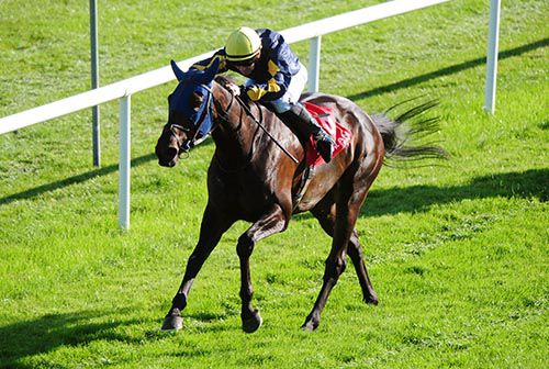 Surreal scores in style