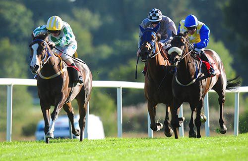 Last Minute Lisa leads them home