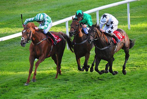 Days Ahead (inner) beats Mahrajaan (outer) & Juara (center)