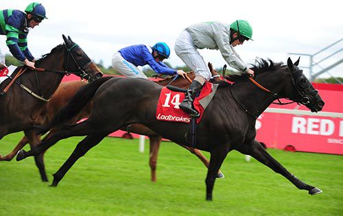 Barack and Ben Curtis time it well at Leopardstown