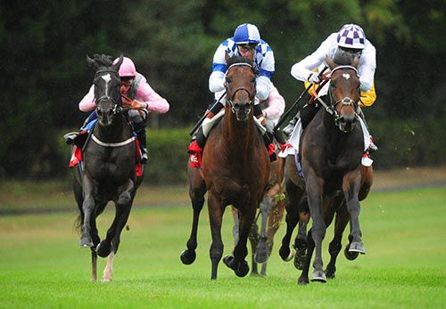 The Fugue, left, starts to wind up her challenge at Leopardstown