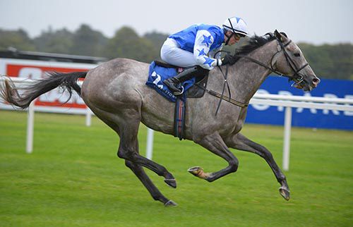 Pique Sous and Billy Lee at Leopardstown