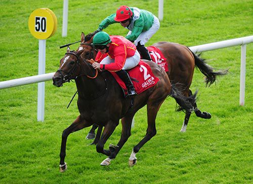 Colour Blue (red) will bid for Listed success in the feature race on the card