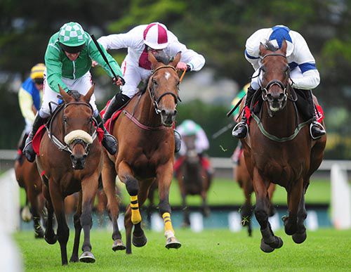 Rossvoss (right) scores for Ruby Walsh