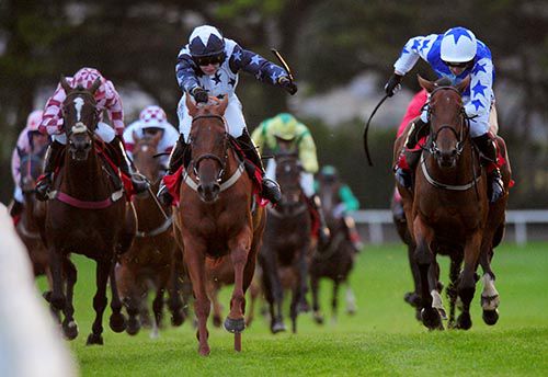 Fourni just holds on from Shesafoxylady (right)