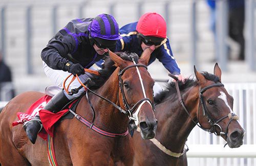 Your Busy gets home from Schelm