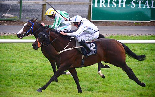 Elusive Gent (nearest) grabs Last Minute Lisa