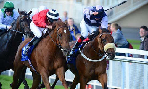 Russian Soul (right) is driven out by Shane Foley with eventual third Farmleigh House alongside