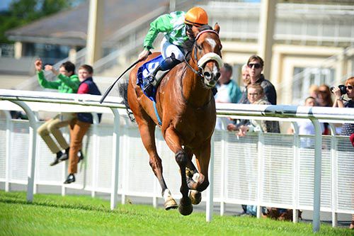 My Good Brother is driven out by Colin Keane