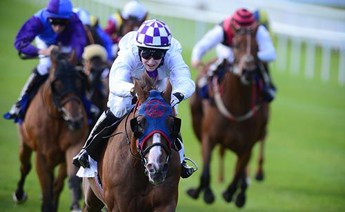 Eighteen Summers is pushed out by Killian Hennessy