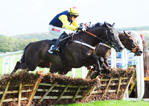 Guitar Pete, left, comes through to win on his hurdling debut at Listowel