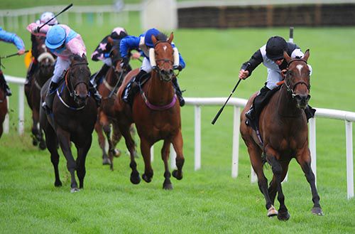 Hail Shower is driven out by Wayne Lordan to beat Better Value (cheekpieces) and Blistering Dancer