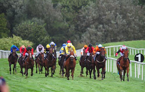 Captain May, right, leads the field home at Listowel