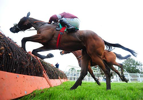 Bayan taking off in Listowel