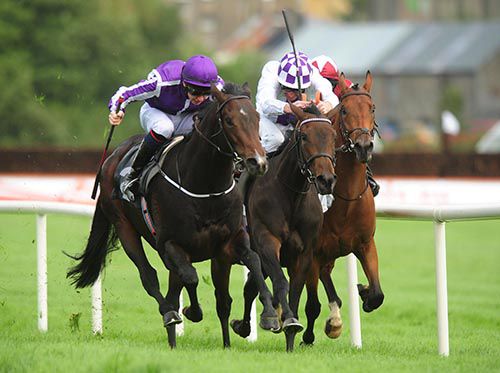 Craftsman (purple) comes to lead in the opener