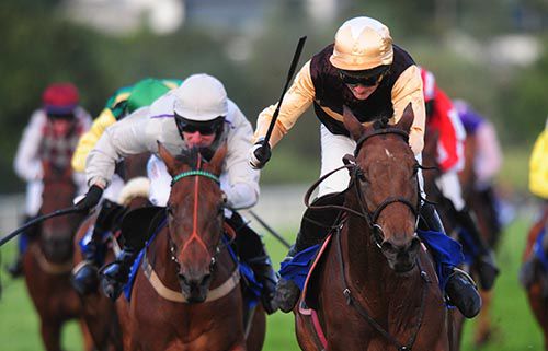 Ivy Gate scores from Railway Adella 