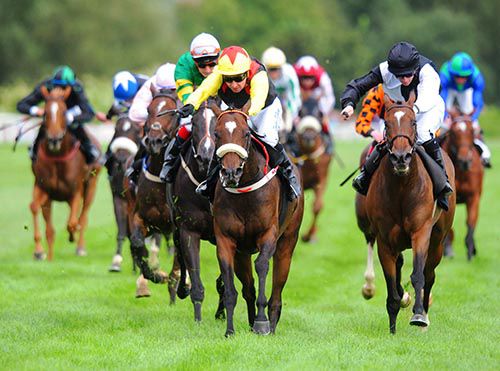 Janna's Jingle (noseband) beats Hail Shower (right) and Snakes And Ladders (green and gold) at Listowel