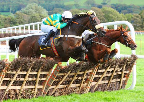 Minella Foru, near side, comes to collar Shamsikhan after the last hurdle