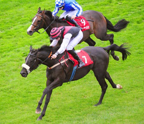 King Of Oriel was too strong for Carenza at Gowran