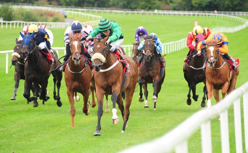 Castle Guest has all his rivals on the stretch at Gowran