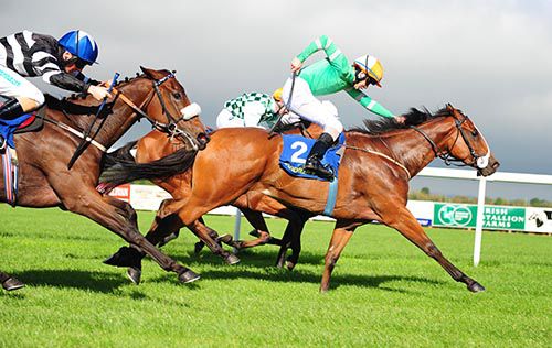 Hilltown Gal is driven out by Ronan Whelan