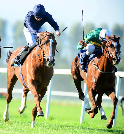 Time For Action (left) is driven out by Wayne Lordan to beat Tri Na Ceile