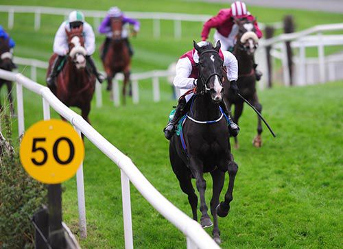 Maigh Dara is clear under Paul Power with 50 yards left to race