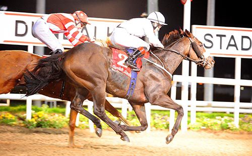 Victor's Beach and Shane Foley get up to beat Cristy's Call