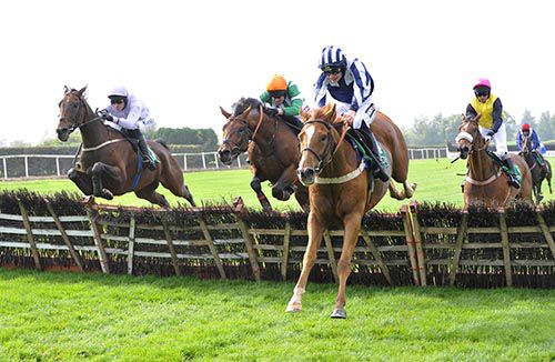 Fantasy King (left) jumps the last behind leader Coolfighter