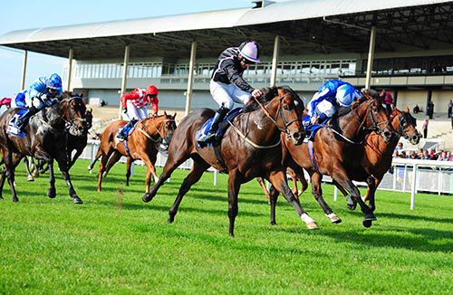 Nero Emperor (black silks) is driven out by Wayne Lordan to beat English Deer (alongside) 