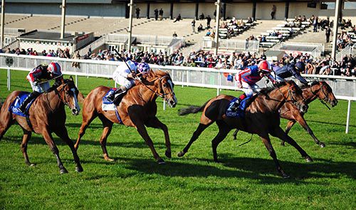 Campanology (third from left) beats Line Drummer (far side), Paene Mangus (second from left) and Billyford