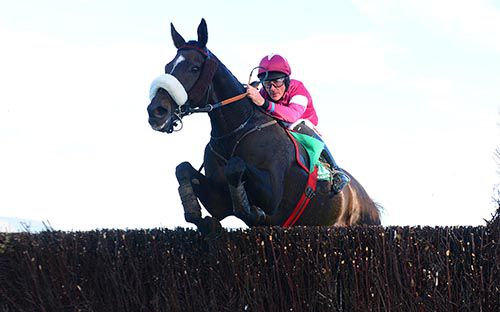 Toner D'Oudairies and Davy Russell pop the last 
