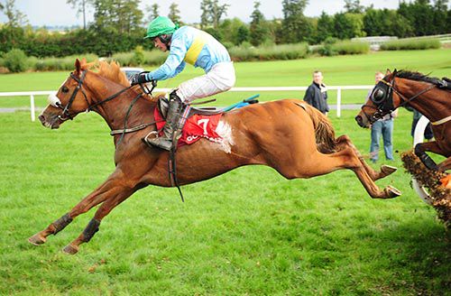 Pivot Bridge clears the last in Gowran Park