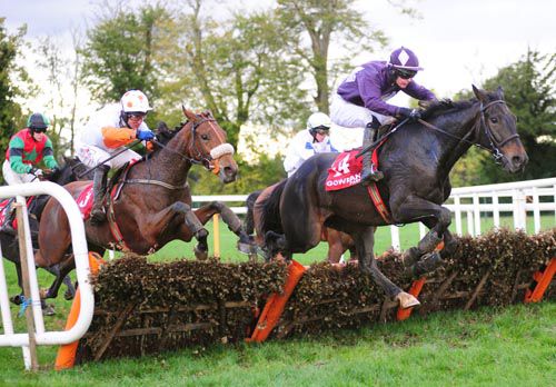 Waterloo Chateau (purple) jumps the last in front, with eventual winner Fresh By Nature (noseband) in second
