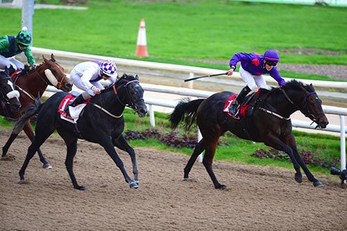 Doc Holliday and Robbie Downey hold off Midfield General