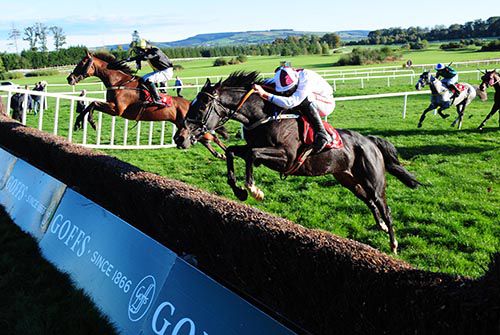 Minella For Value (near side) and Count Salazar