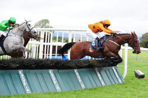 Liberty's Gift gets over the last in front at Tipperary