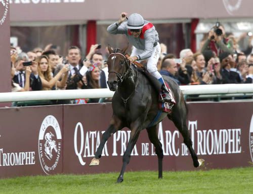 Treve won back to back Arcs in 2013 and 2014