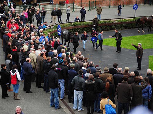 The Fairyhouse crowd and an audience with Oliver Brady