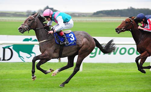 Flying Jib and Pat Smullen pictured on their way to victory from Chicago Girl back in second