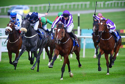 Heirloom (centre) stays on best for Joseph O'Brien to beat Sir Walter Scott (right)