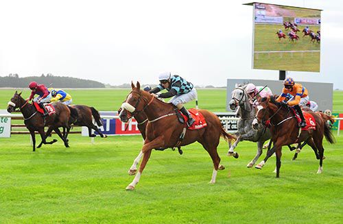 Montefeltro is driven out by Robert Tart to beat Marchese Marconi (white face), Call Me Bubbles (grey) & Majenta (left)